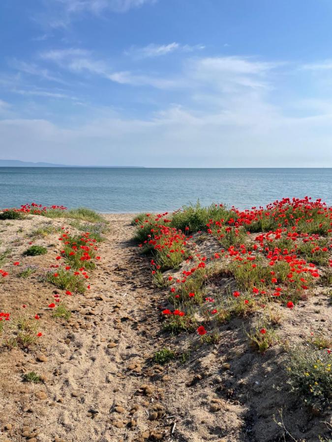 B&B Tre - Rooms & Relax Oristano Exteriör bild
